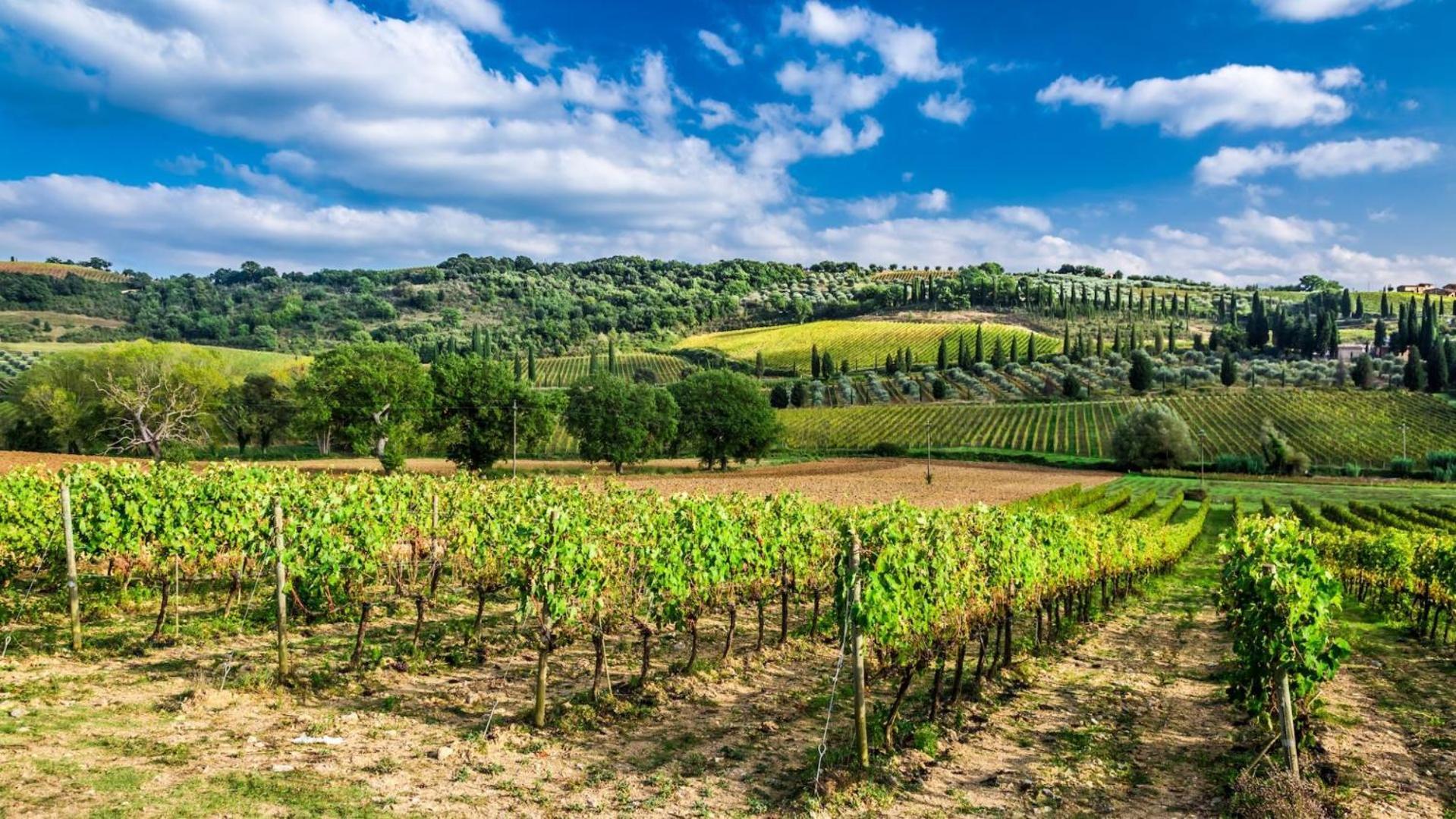 Terre Gialle - La Val D'Orcia Nascosta Castel del Piano (Tuscany) Exterior foto