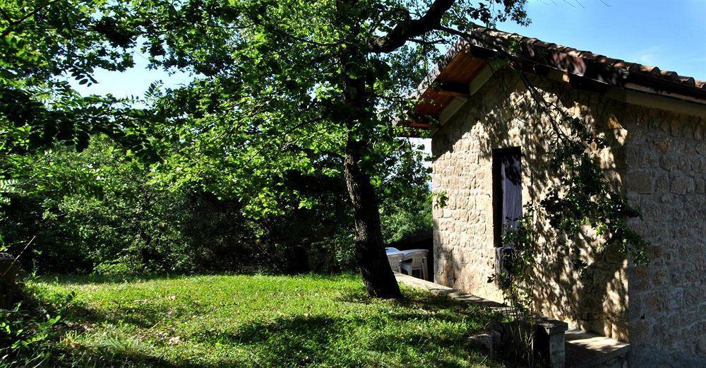 Terre Gialle - La Val D'Orcia Nascosta Castel del Piano (Tuscany) Exterior foto