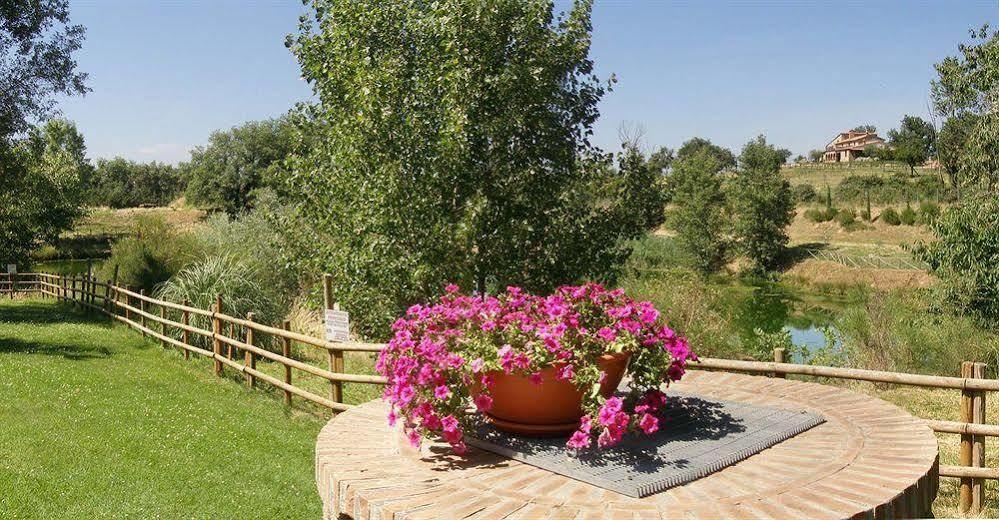 Terre Gialle - La Val D'Orcia Nascosta Castel del Piano (Tuscany) Exterior foto